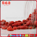 Bio Goji Beere Export Beeren Goji von Ningxia